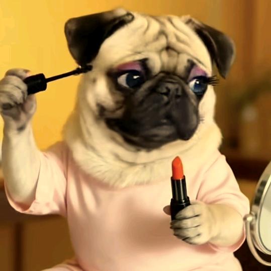 ⊙ω⊙🍎七彩好心情