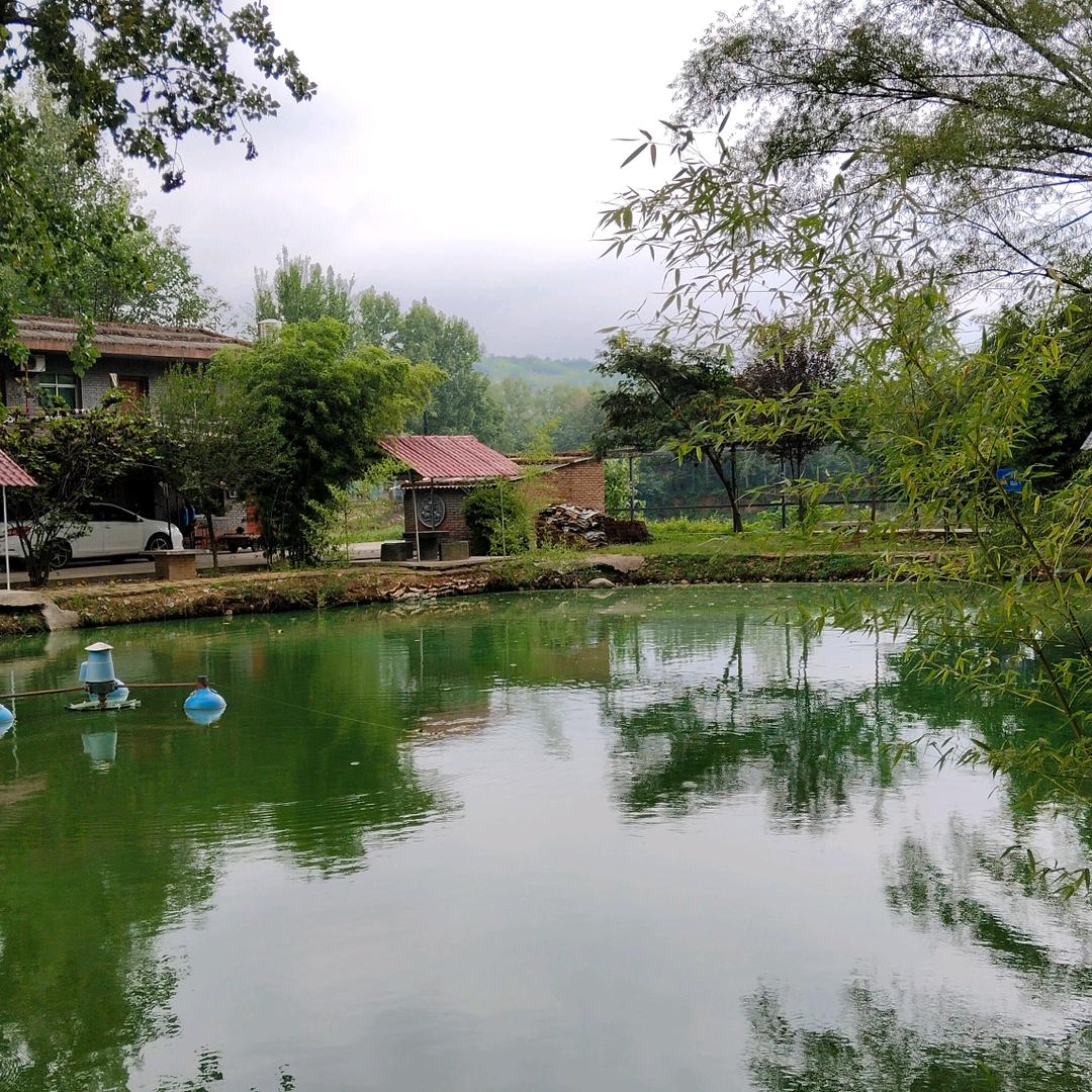 李经理