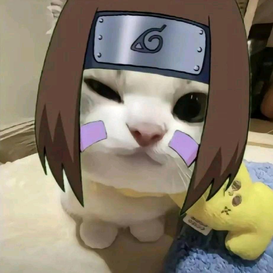 阳光开朗大猫猫