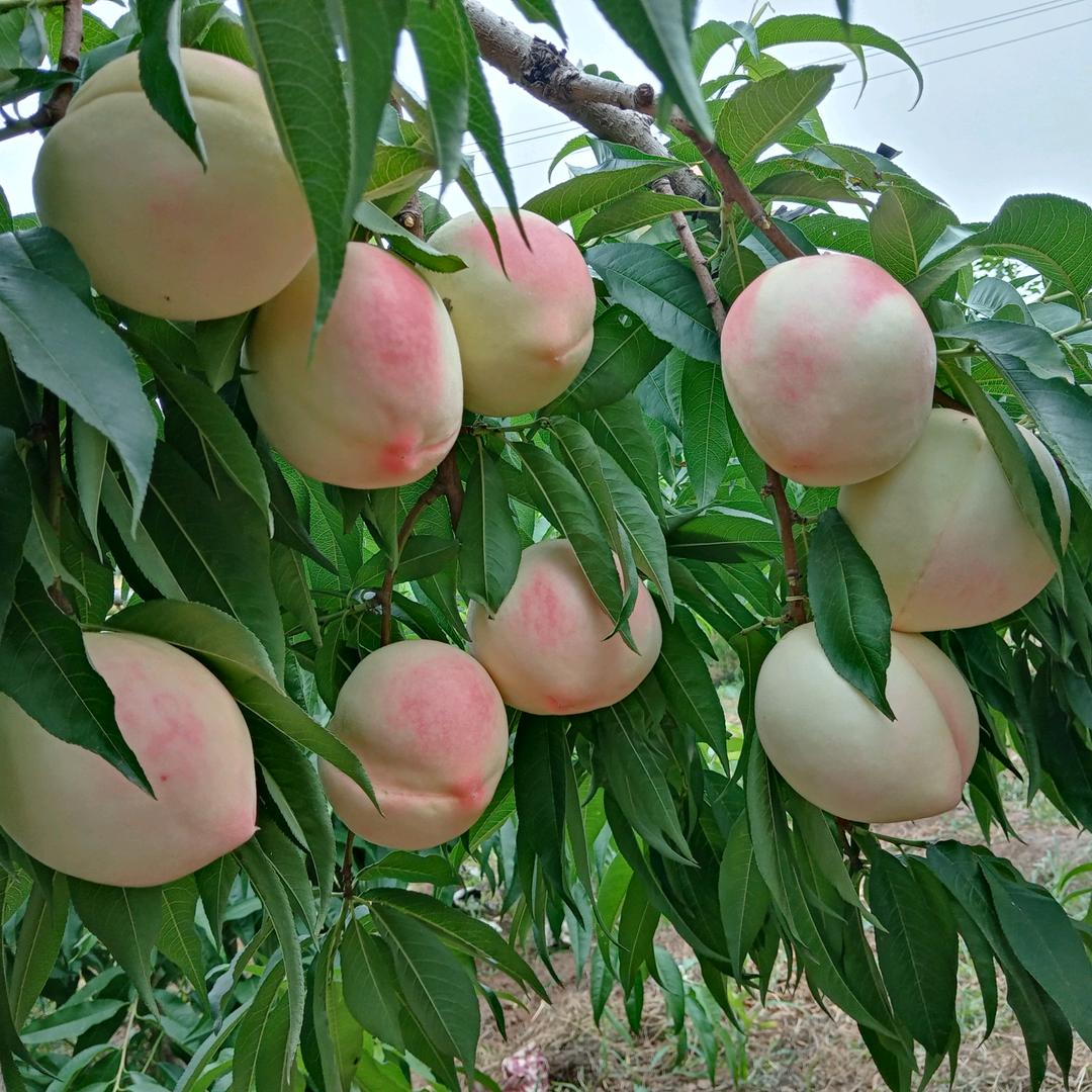 用户361415416知足长乐