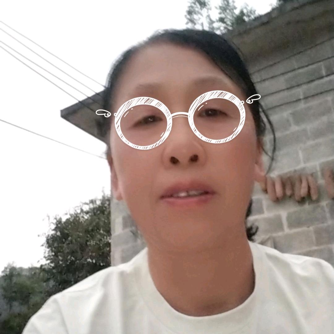 龙二姐