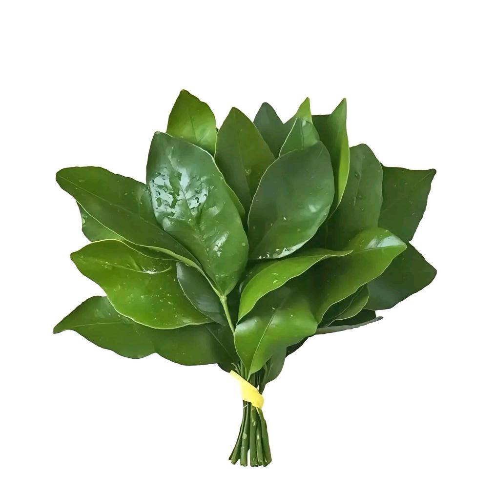 美到抠脚！！
