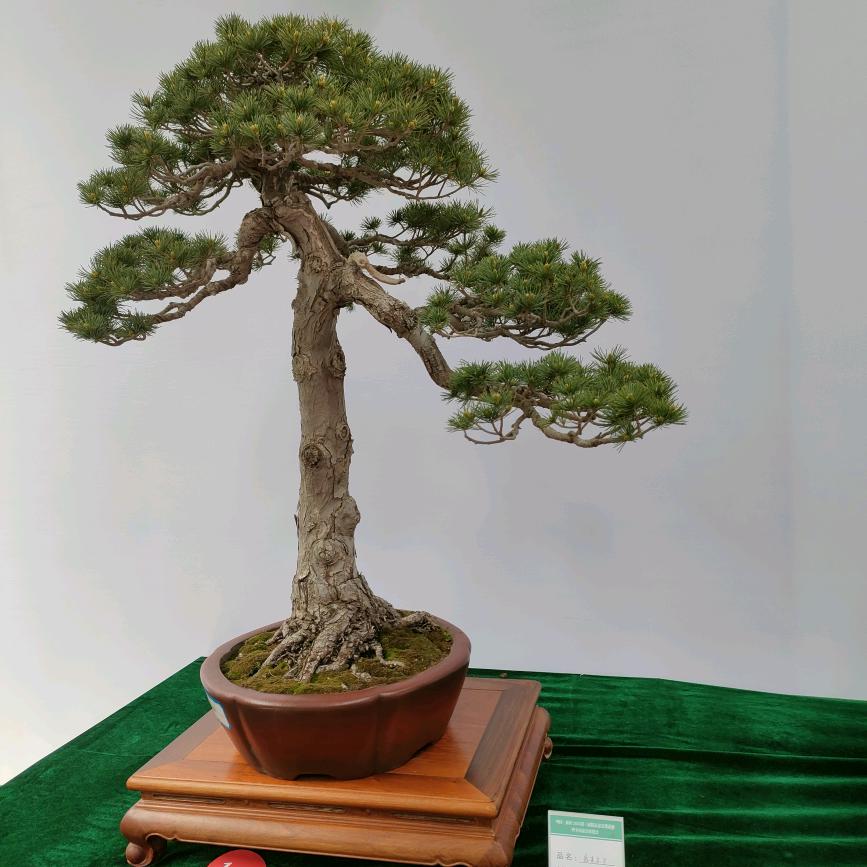 默默守候