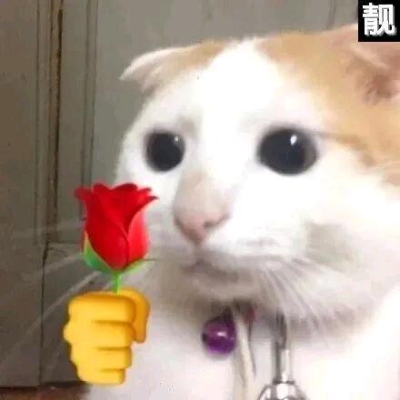 谨慎之