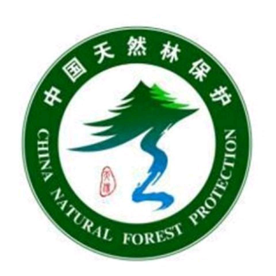巴山夜雨