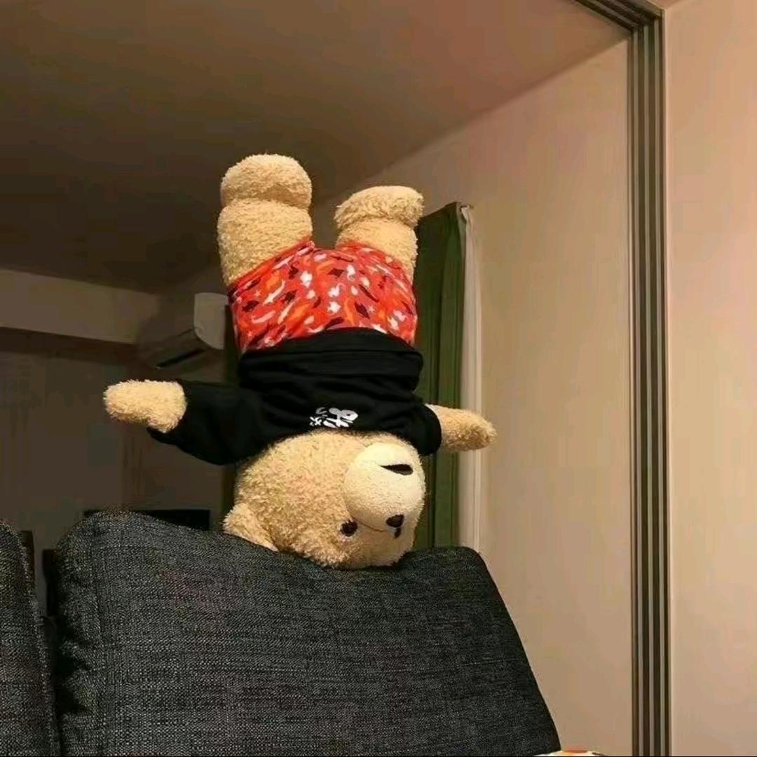幸运🌈阿十一