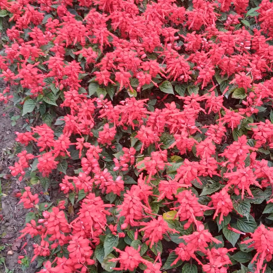 用户265708开心🍎🍎