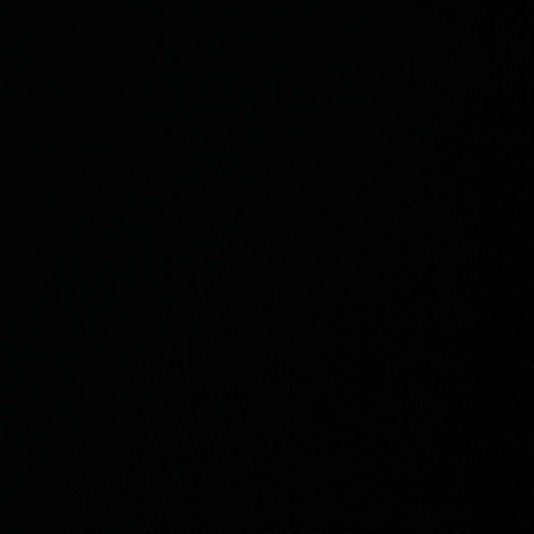 世褶