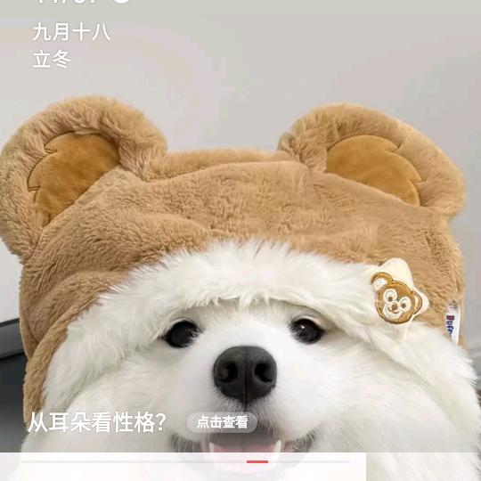 尹家四千金_iup8