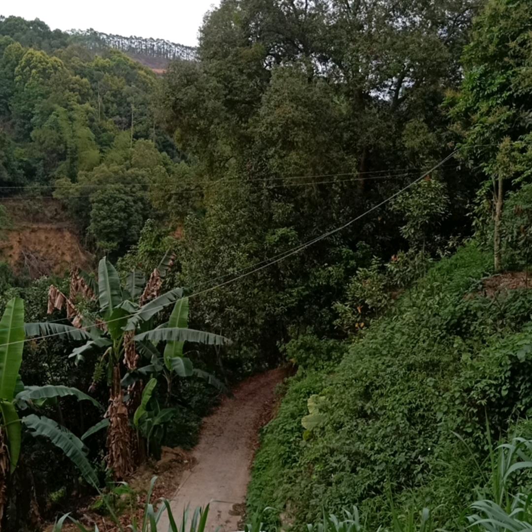 兄弟山货1