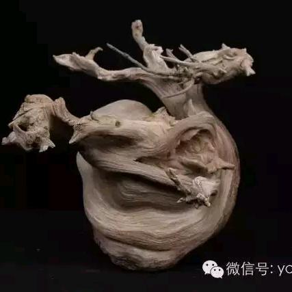 执着