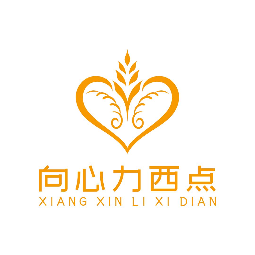 向心力西点