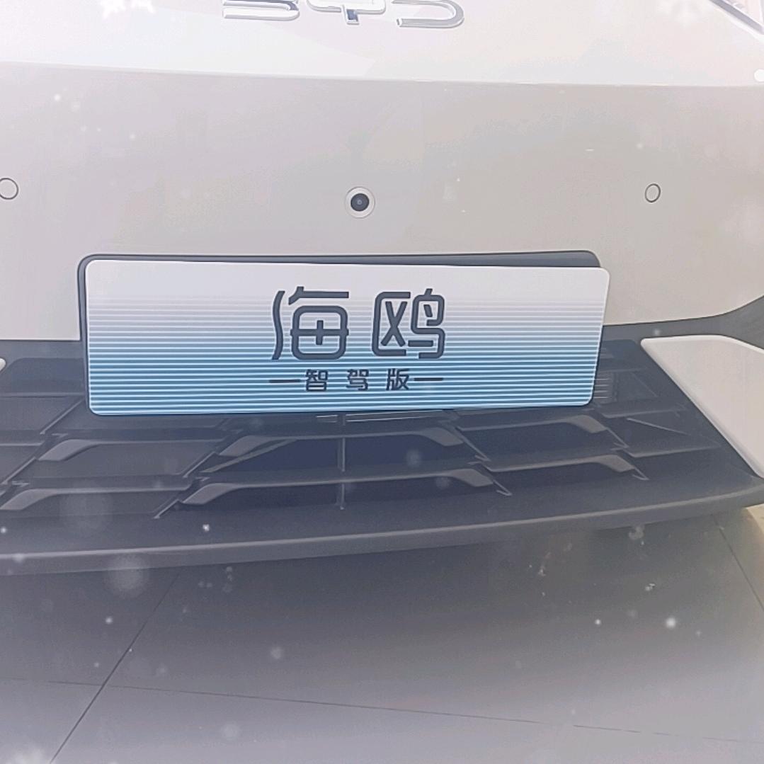 比亚迪海洋网团购