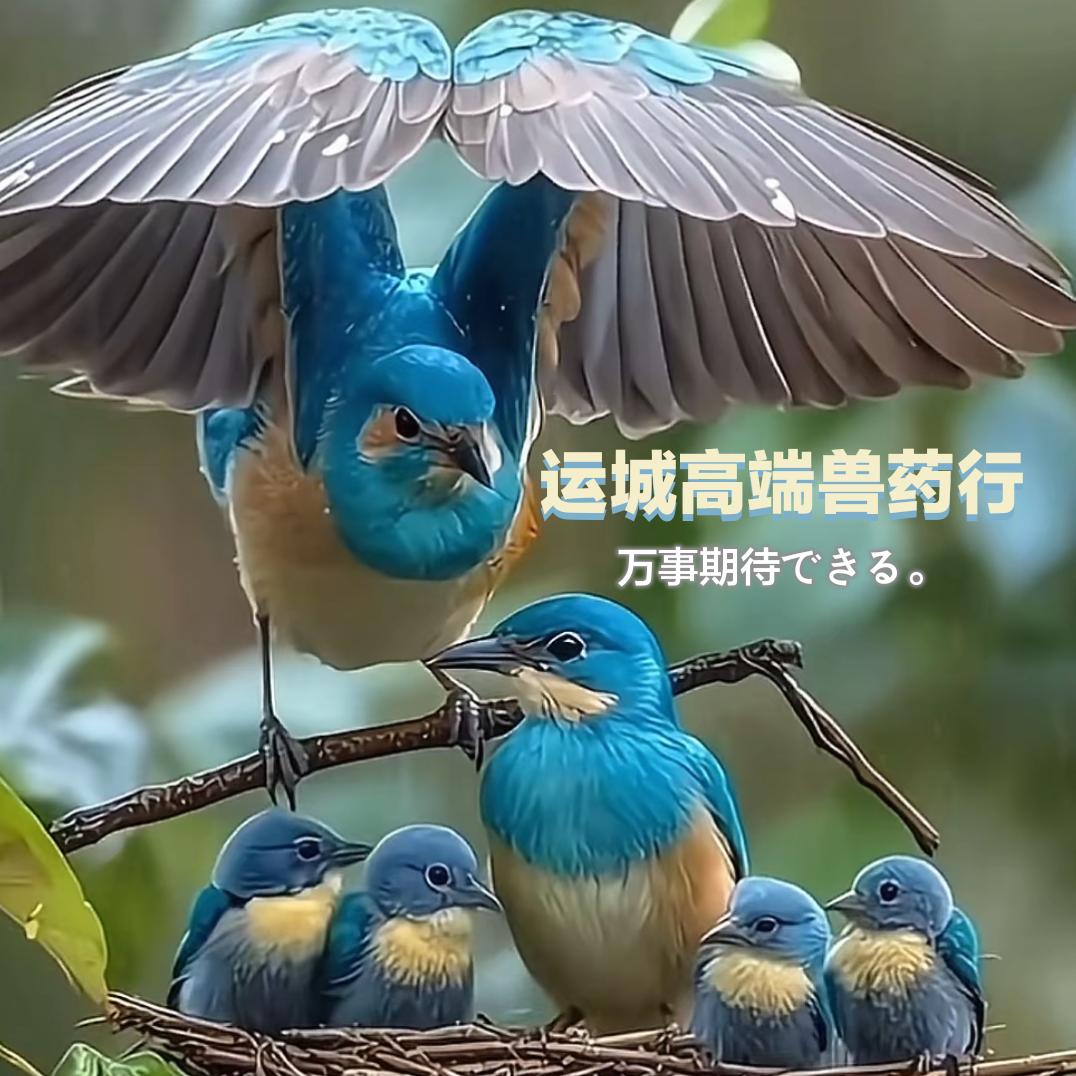 🌈我在等一场雨☔