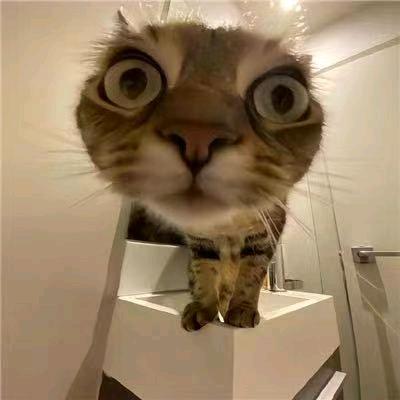 宇泽家的(≧^.^≦)喵~