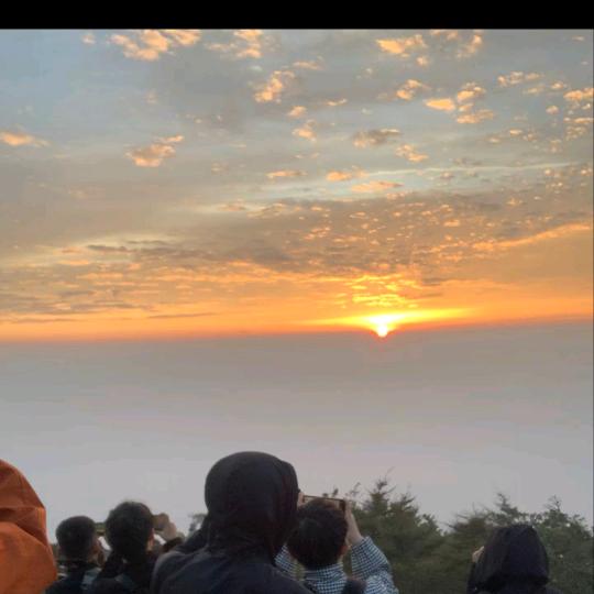 奥拉星_(•̀ω•́ 」∠)_