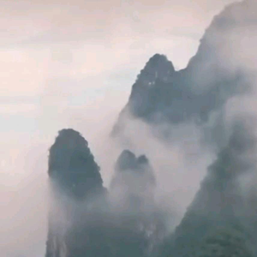如水年华