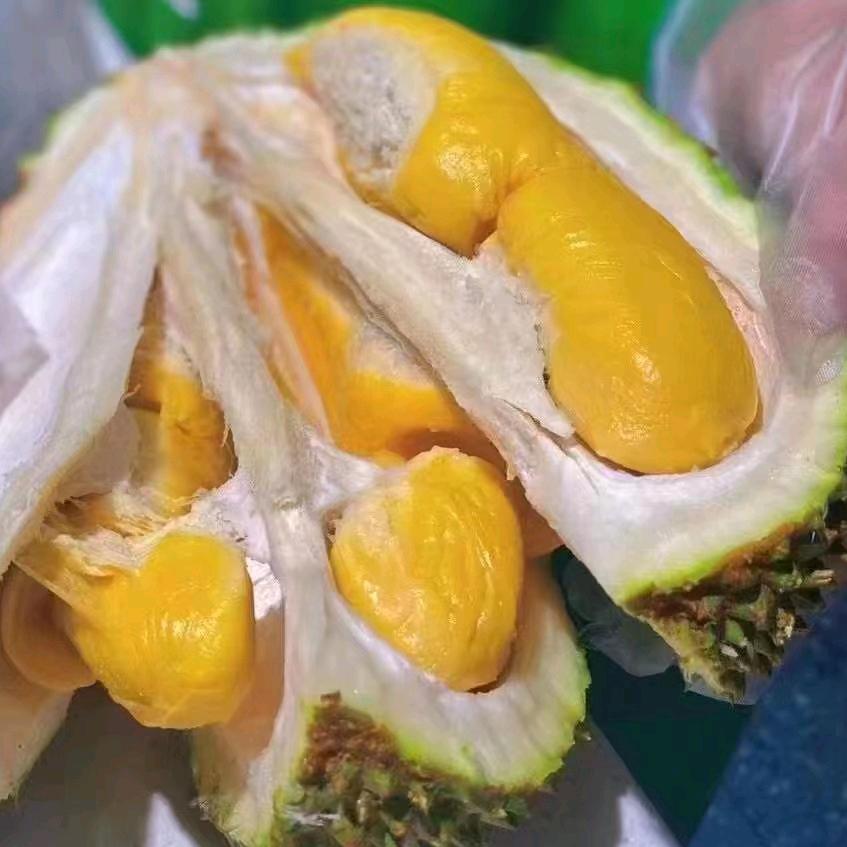 诚信果林大兴路店🍉