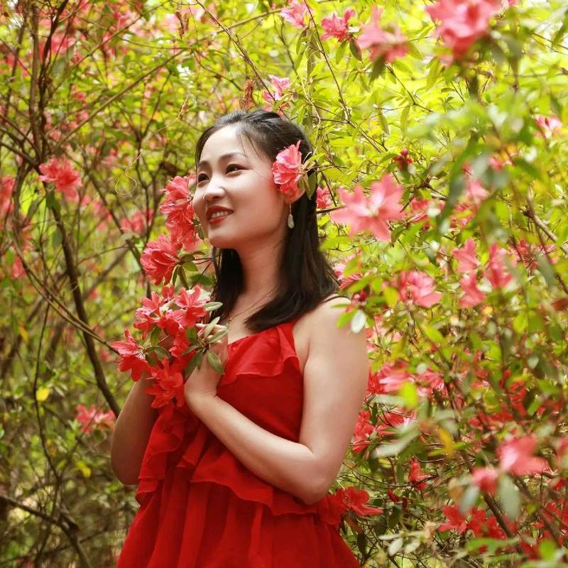 灿烂的阳光