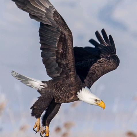 安利优生活产品