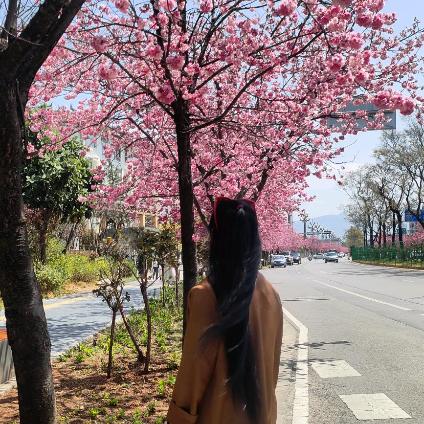 吉祥瑞雪
