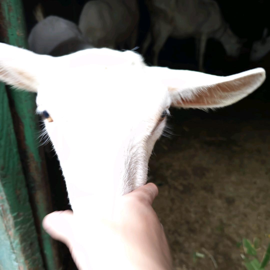 无法逾越