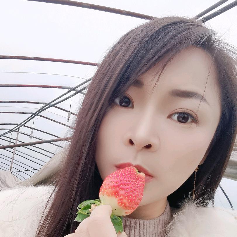 酒醉的蝴蝶