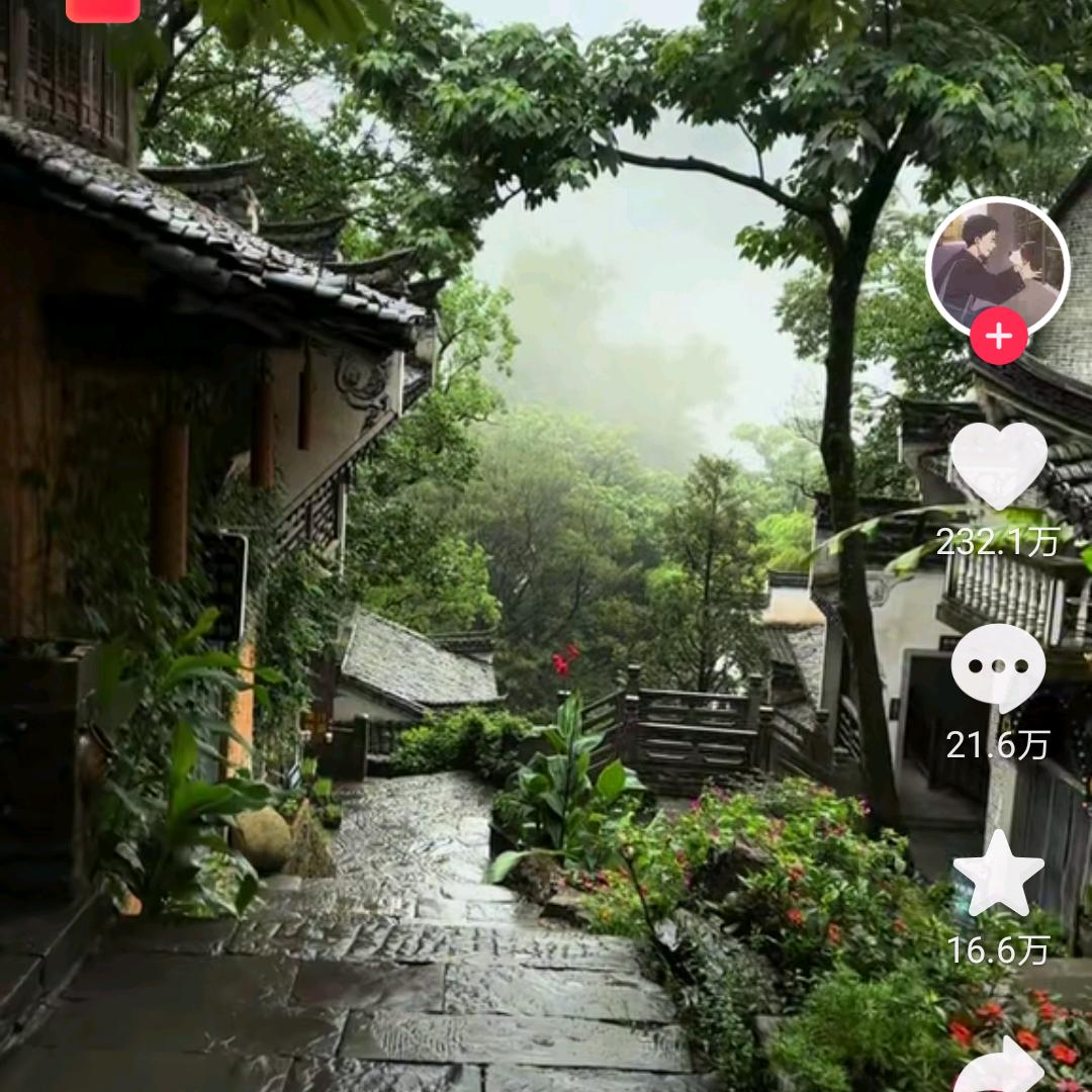 宝宝小树直播号