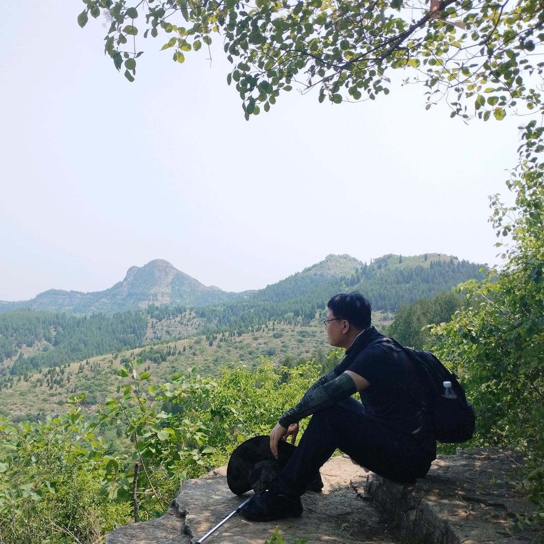 孙伟律师（东营）