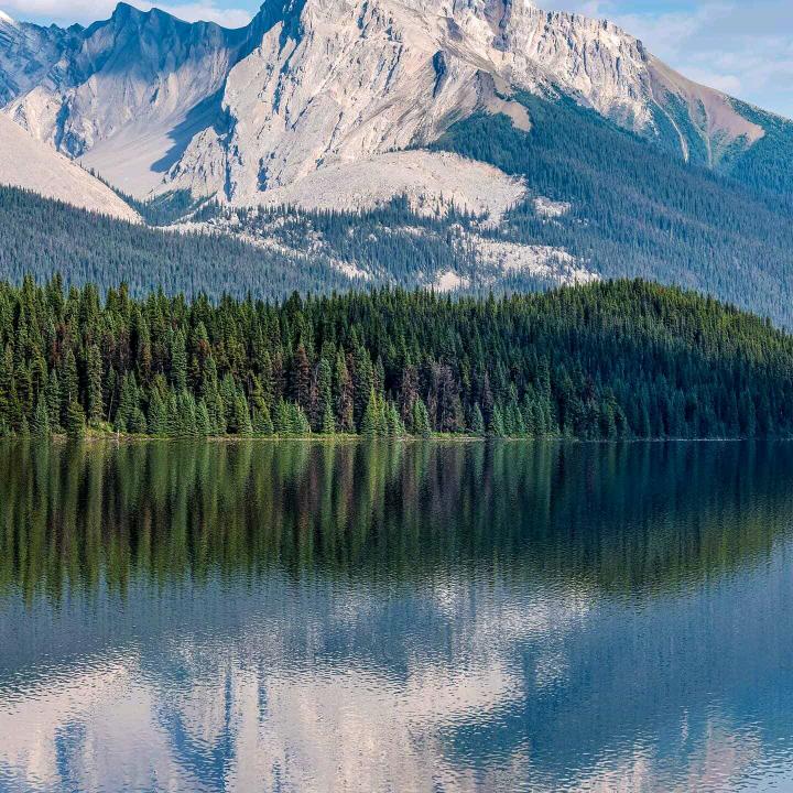 美好的未来在草原