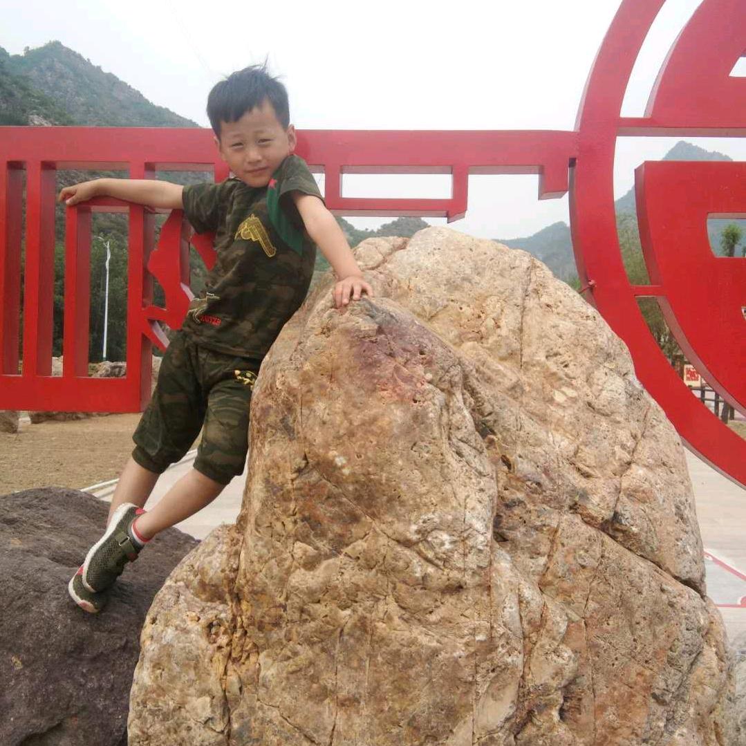 流泪的鱼