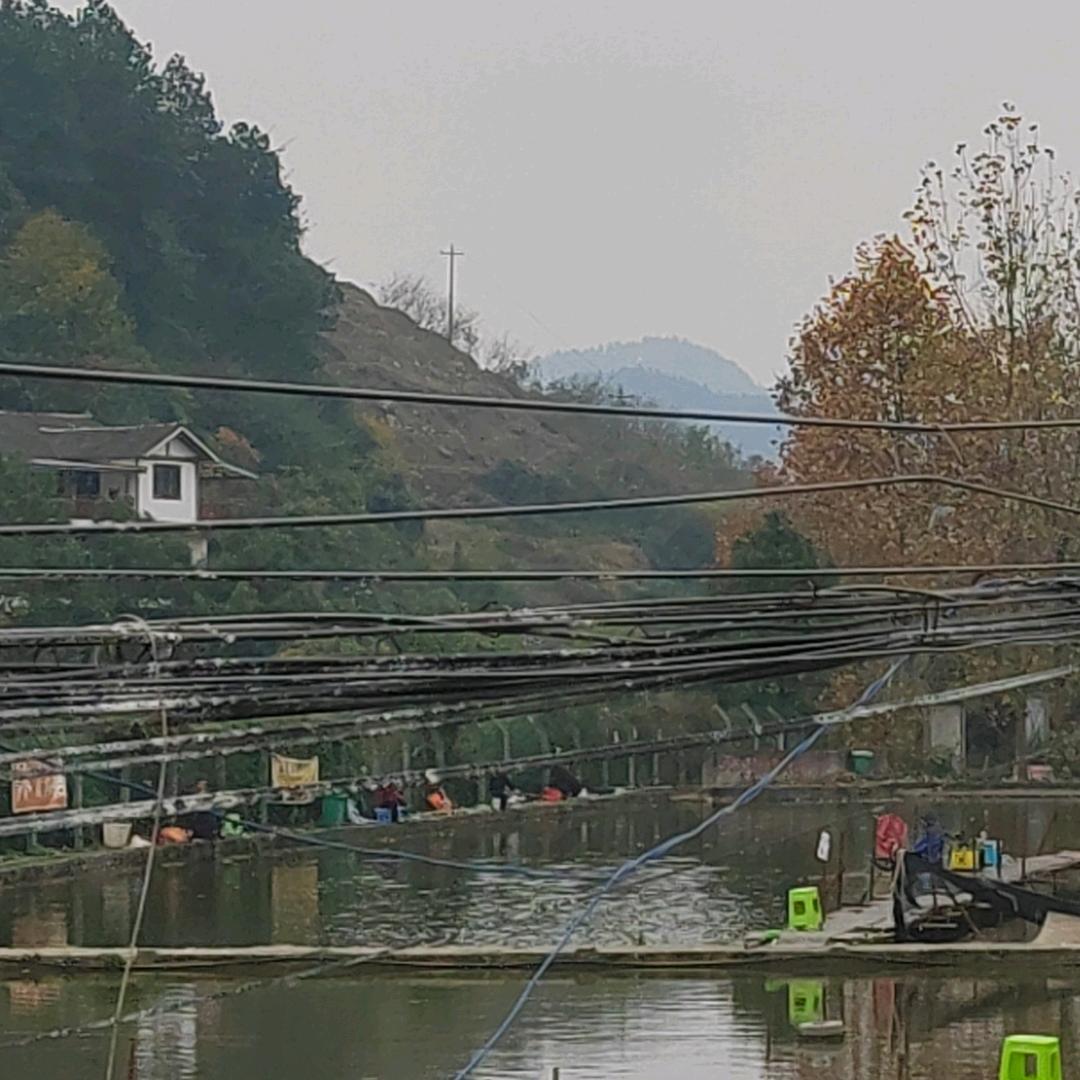 洪河小郑垂钓园