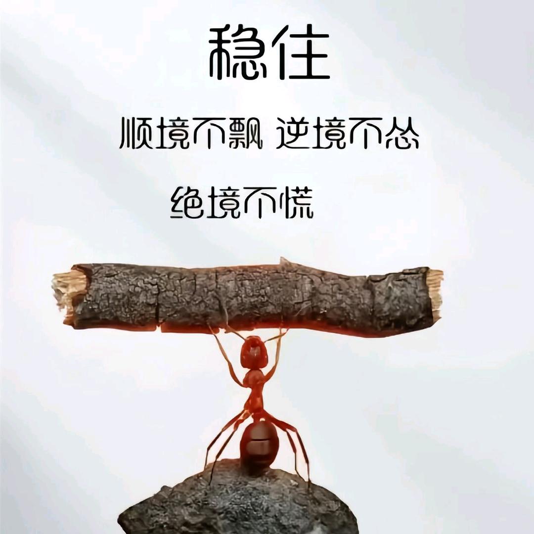 永城老城万通步行街以纯店，