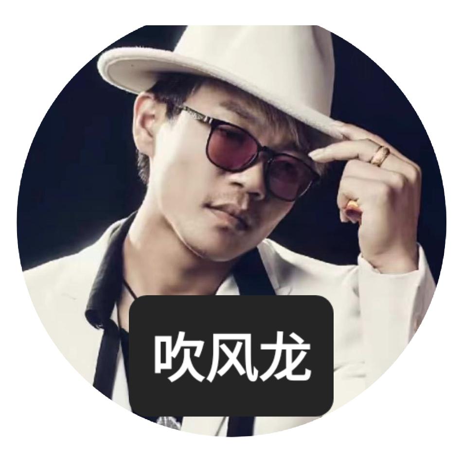 吹风龙《一年发30W给粉丝》