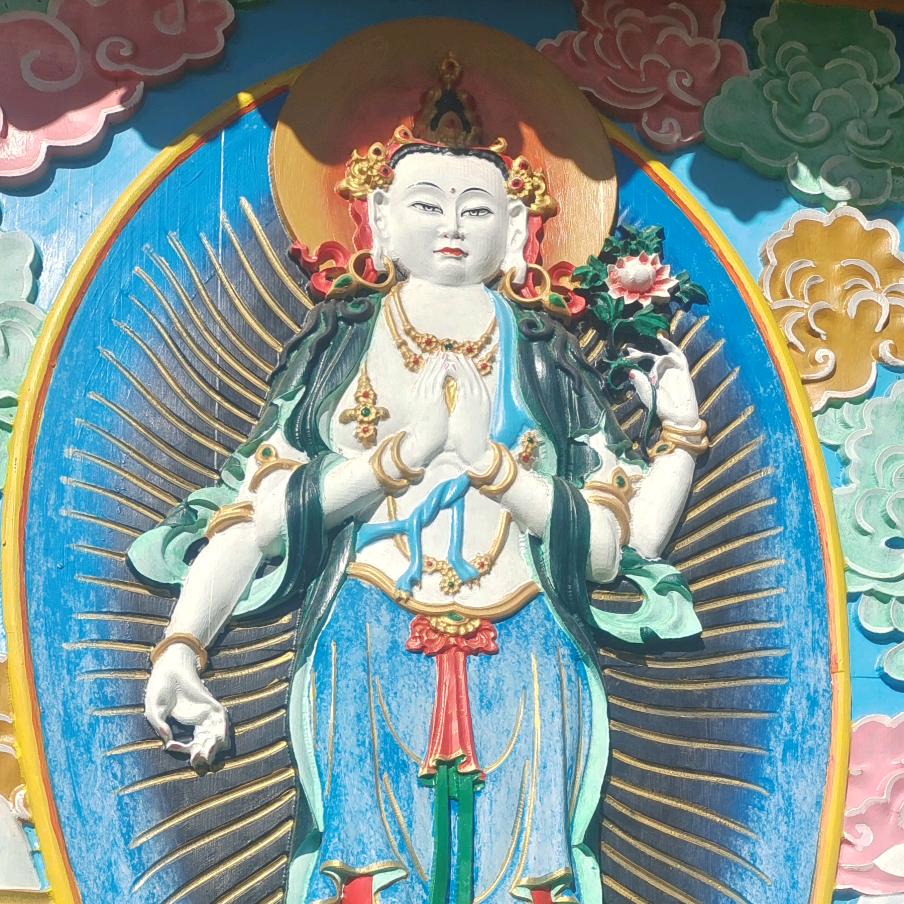心累无人知