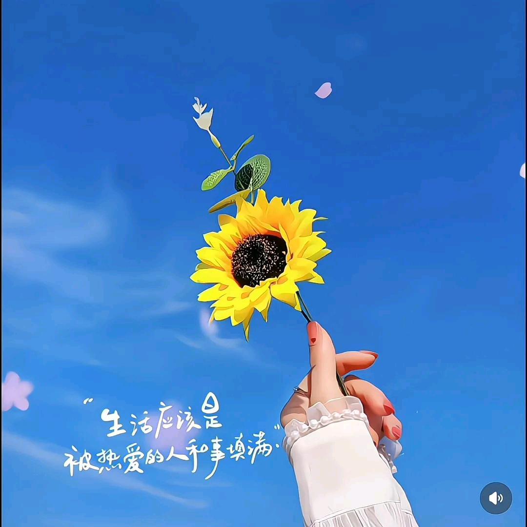 凝芸冰澜