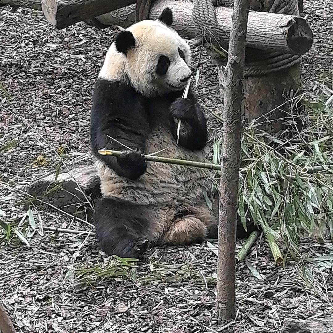 远、
