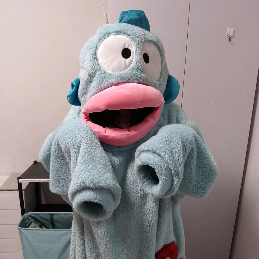 十桉杉