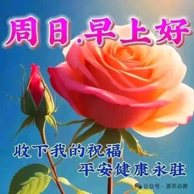秋天的雨太多了🍂