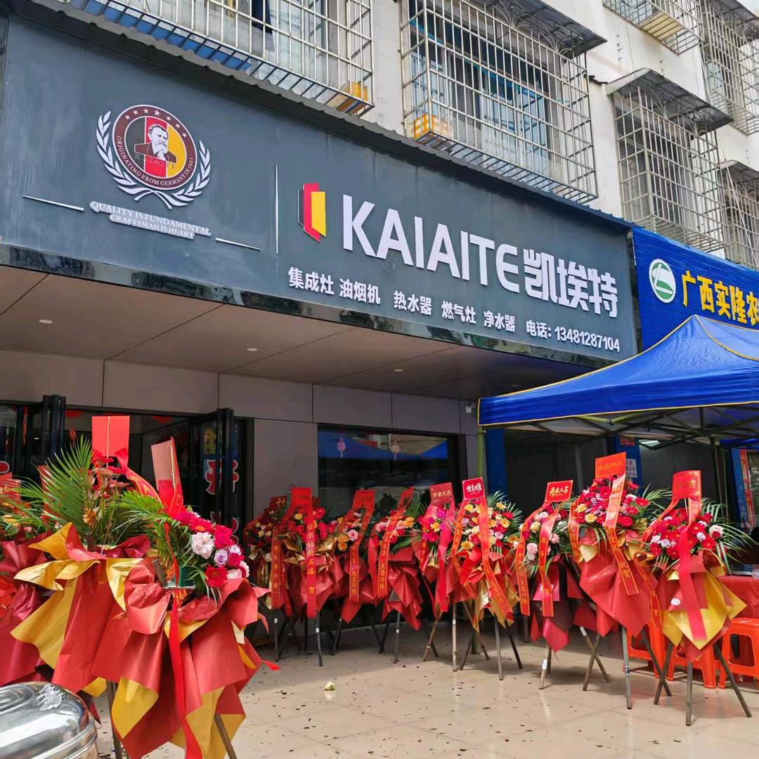 来宾浦乐宝净水器+德国凯埃特集成灶，
