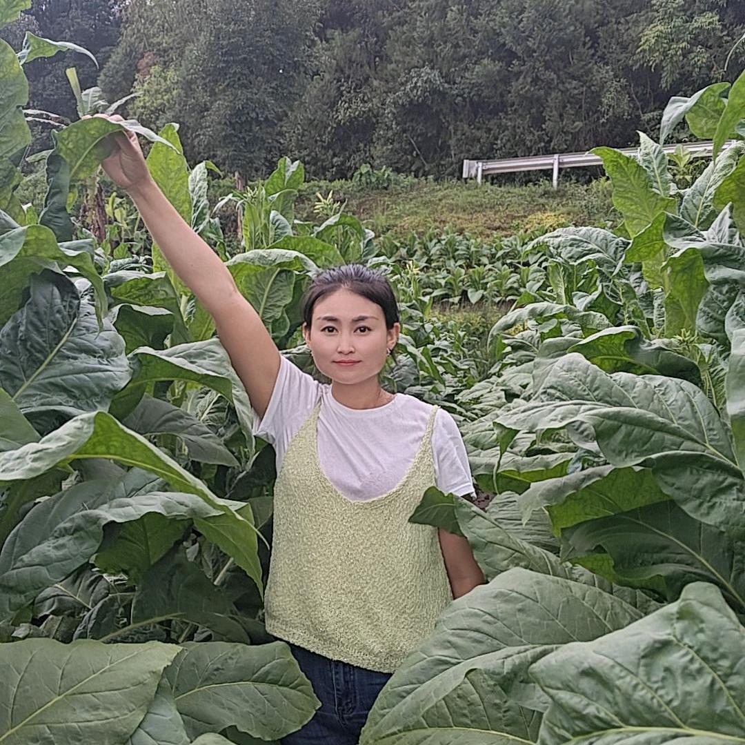 为庄稼做导航，兰妹