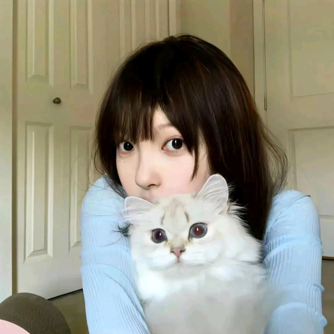 二七啊啊啊