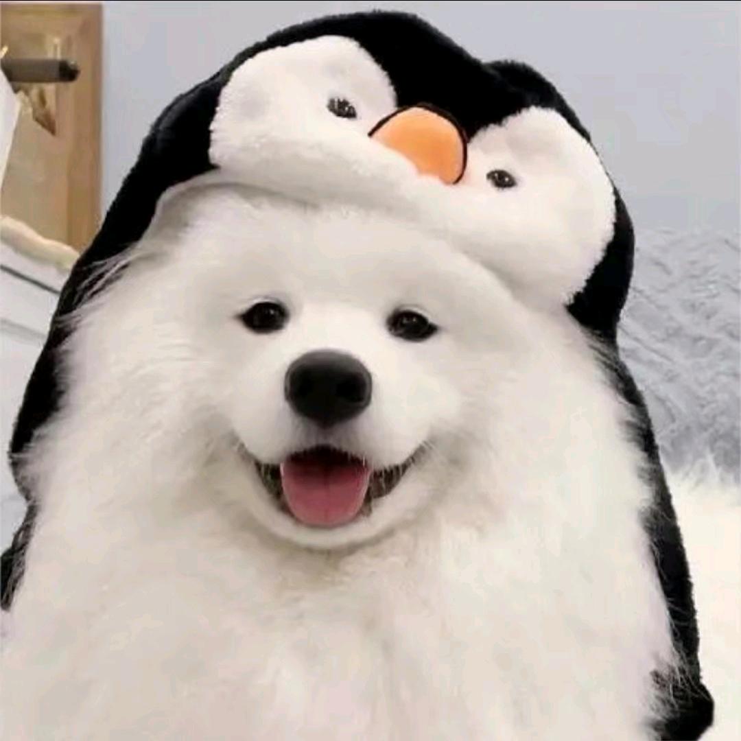 流木