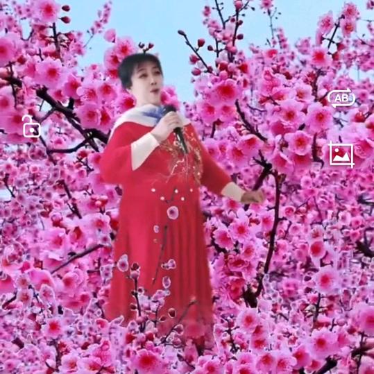 人生如梦巜拒绝私聊》