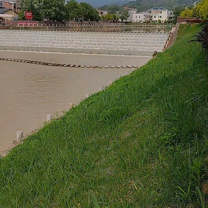 天在下雨我在想你