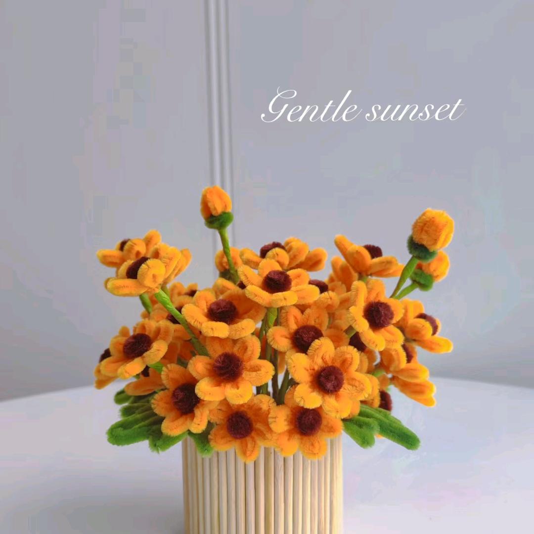 攒一袋小星星✨