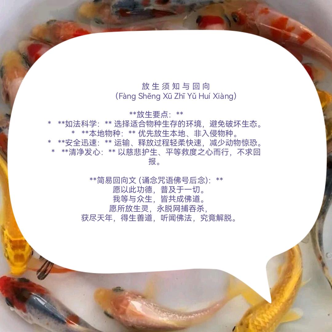 感恩（放生慈悲护生命）