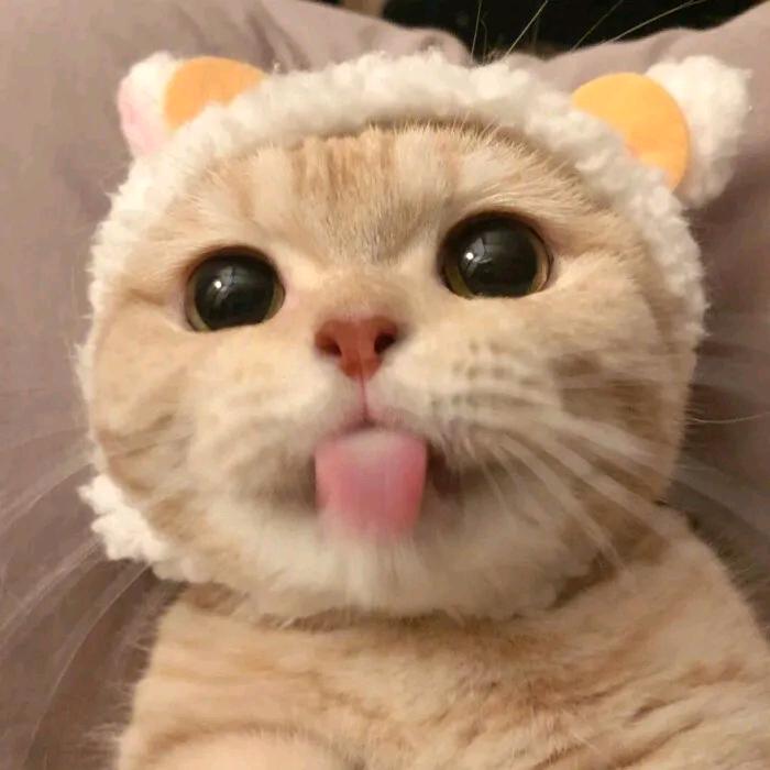 云味鲜果蔬