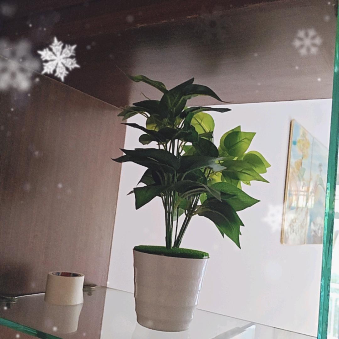 い╃→菇凉ゝ（-1）