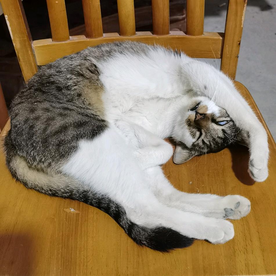 ℳ̶̶̶̶໌꧔ꦿ*꯭͡尘酒꧔ꦿ᭄